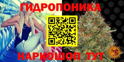 PSILOCYBIN Можайск