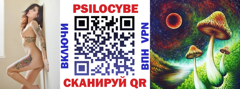 Галлюциногенные грибы Psilocybine cubensis Псков